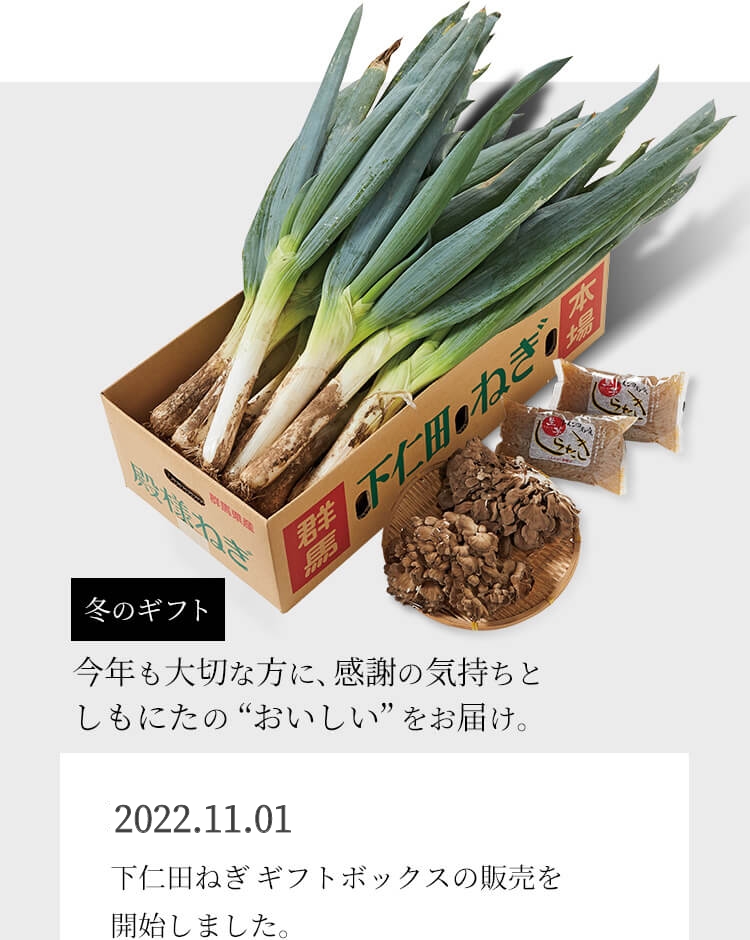 完熟下仁田ねぎ 越冬年越し下仁田ねぎは最高級の味へ 完熟された下仁田ねぎこそ献上品質となります